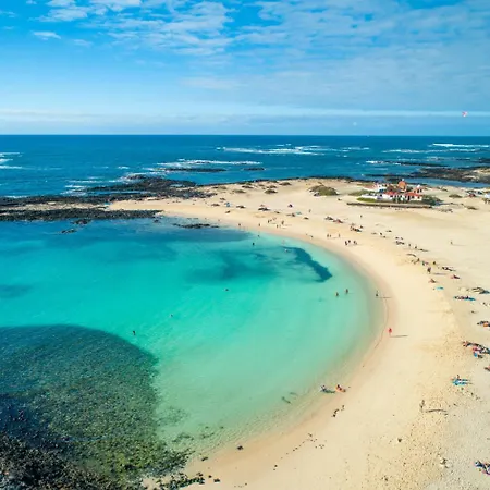 Mariposas Caleta *