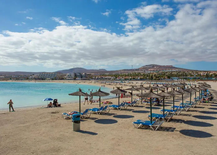 Mariposas Caleta